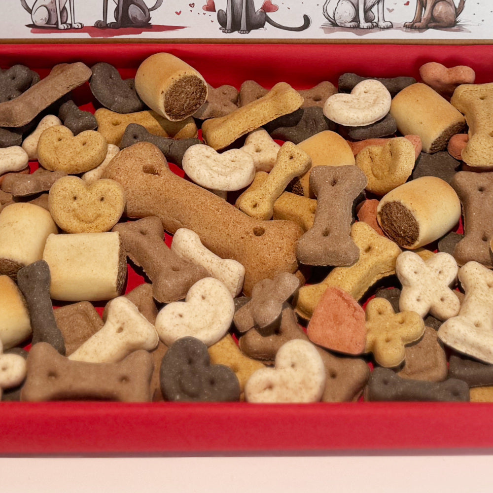 Personalised Fur-ever Yours Dog Treats Box
